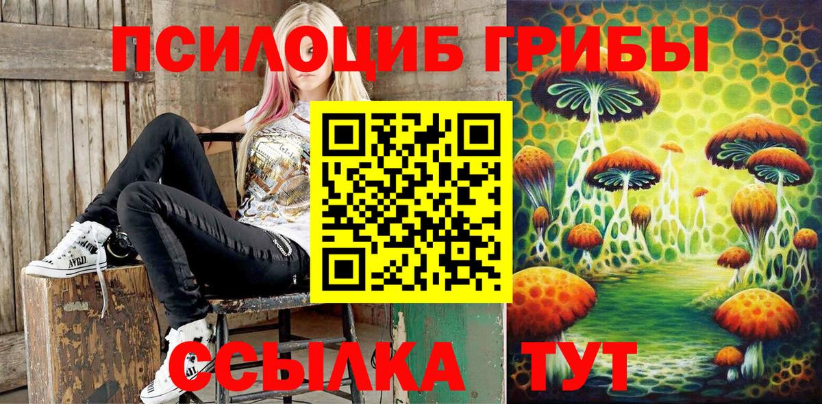 Псилоцибиновые грибы Magic Shrooms  Вход с VPN  Псилоцибиновые грибы мухоморы  Клинцы 