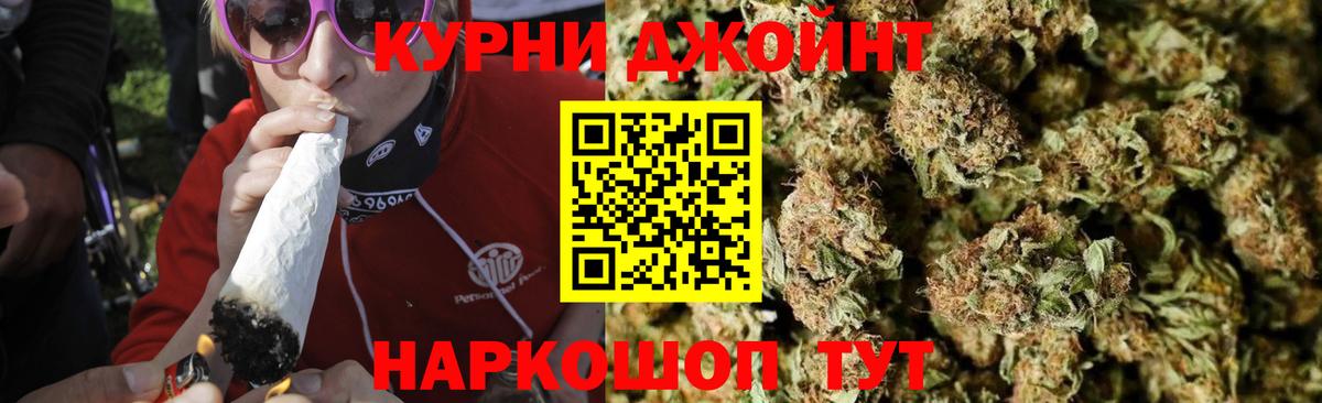 Псилоцибиновые грибы Клинцы